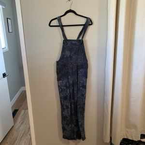 Anthropologie the wanderer overall